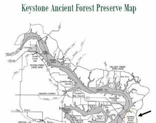 View Map of Keystone Ancient Forest